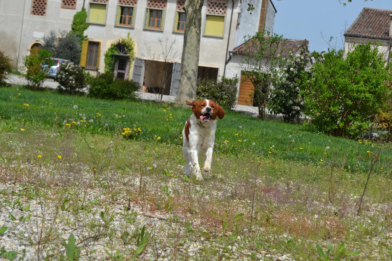 Agriturismo Otto Ducati D'Oro Isola della Scala Extérieur photo