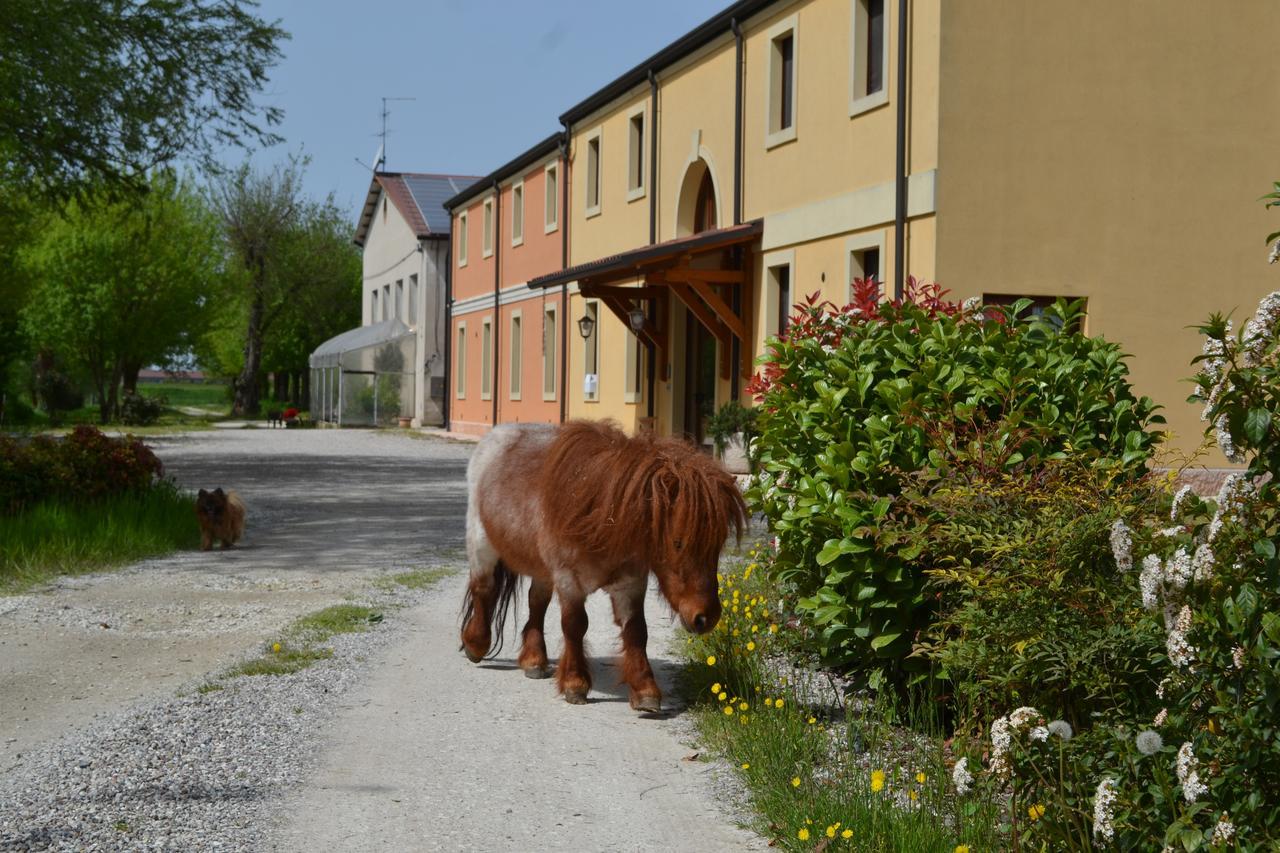 Agriturismo Otto Ducati D'Oro Isola della Scala Extérieur photo
